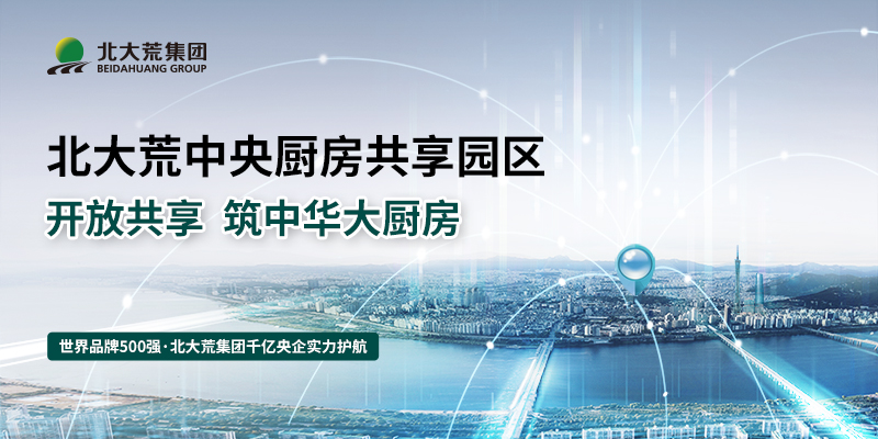 北大荒（大灣區）生態產業城項目品牌定位案例