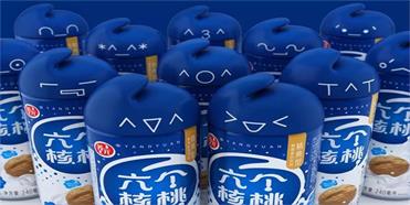 六個核桃的品牌戰略分析