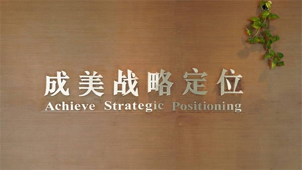 國內(nèi)好的品牌戰(zhàn)略定位公司有哪些?