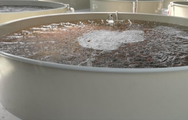 工廠化水產養殖設備品牌定位案例分析